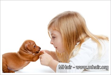 芬蘭研究：飼養寵物能增加幼童免疫力