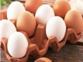 吃鸡蛋免惊 胆固醇大降好处多