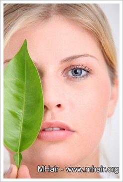 草藥「左手香」敷眼 當心視力全失