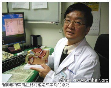 醫師解釋睪丸扭轉可能造成睪丸的壞死