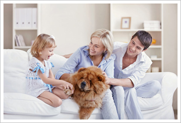 夏季寵物健康管理 定期用藥揮別寄生蟲