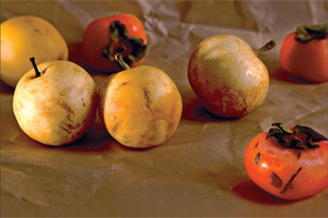 為什麼身上常瘀青?