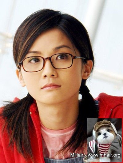 明星与宠物撞发 大比萌