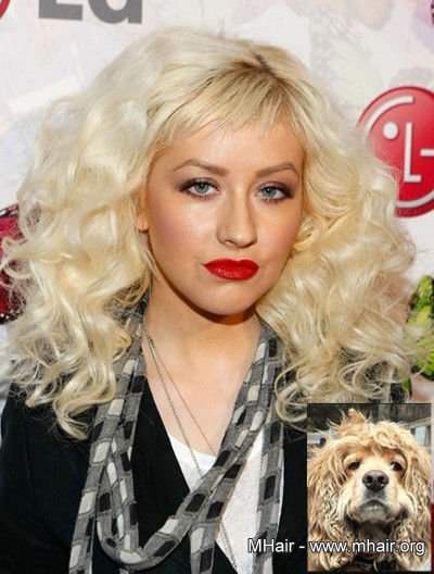 明星与宠物撞发 大比萌