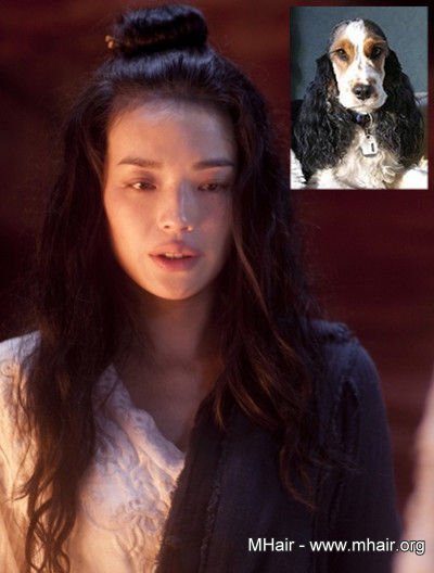 明星与宠物撞发 大比萌