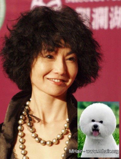 明星与宠物撞发 大比萌