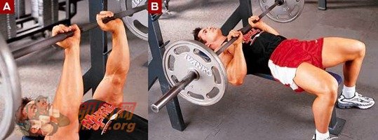 增肌粉哪个牌子好,吃什么可以增肥