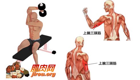 肱三头肌锻炼