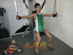 胸部练习[点击放大]