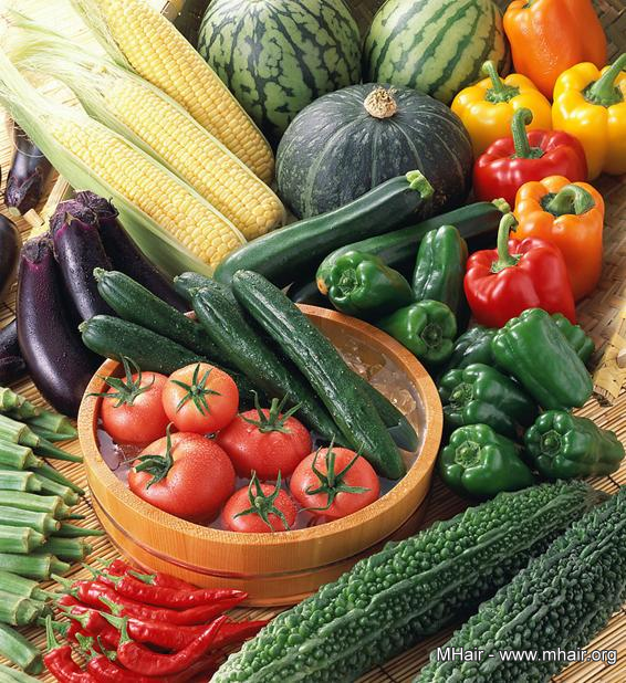 春季养生:五款美味粥喝走脱发